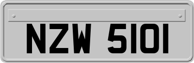 NZW5101