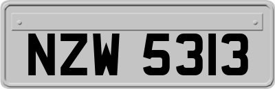 NZW5313
