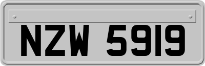 NZW5919