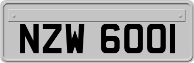 NZW6001