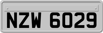 NZW6029