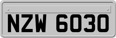 NZW6030