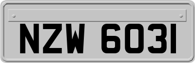 NZW6031