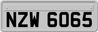 NZW6065