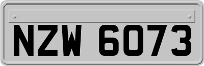 NZW6073