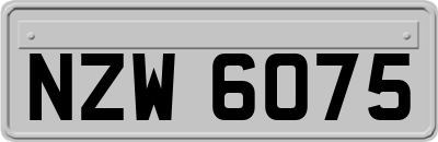 NZW6075