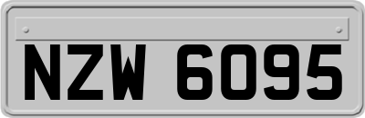 NZW6095