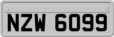 NZW6099