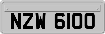 NZW6100