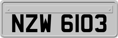 NZW6103