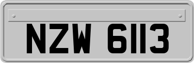 NZW6113