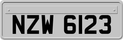 NZW6123