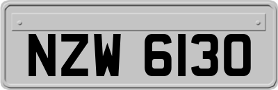 NZW6130