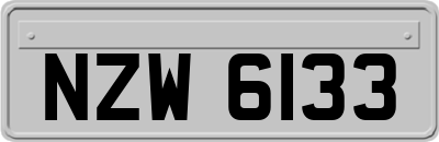 NZW6133