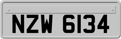 NZW6134