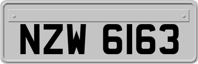 NZW6163