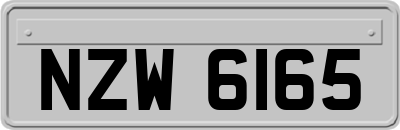 NZW6165