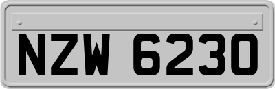 NZW6230