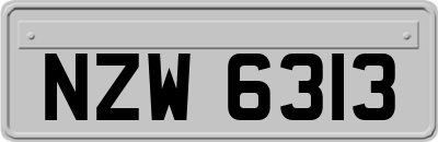 NZW6313