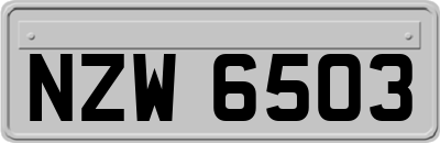 NZW6503
