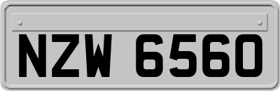 NZW6560