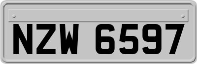 NZW6597