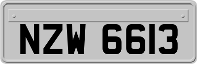 NZW6613