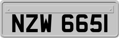 NZW6651