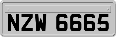 NZW6665