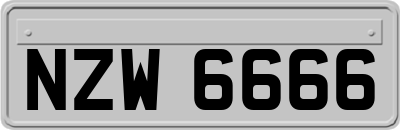 NZW6666