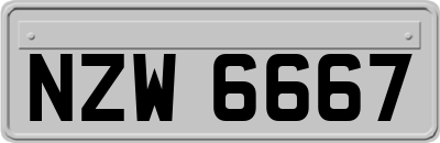 NZW6667