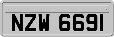 NZW6691