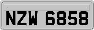 NZW6858