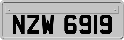 NZW6919