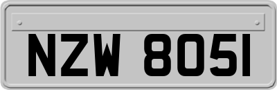 NZW8051