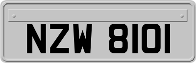 NZW8101