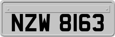 NZW8163