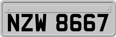 NZW8667