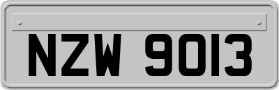 NZW9013
