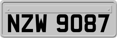 NZW9087