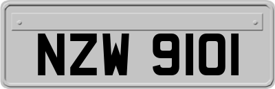 NZW9101