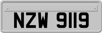 NZW9119