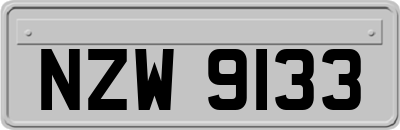NZW9133