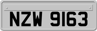 NZW9163