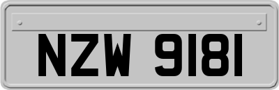 NZW9181