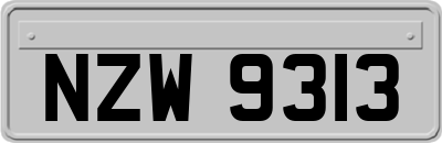 NZW9313