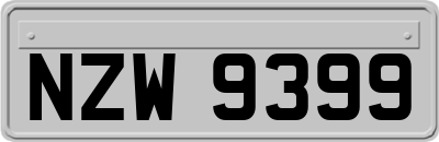 NZW9399