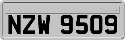 NZW9509