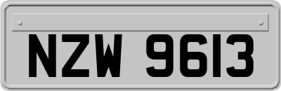 NZW9613