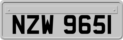 NZW9651